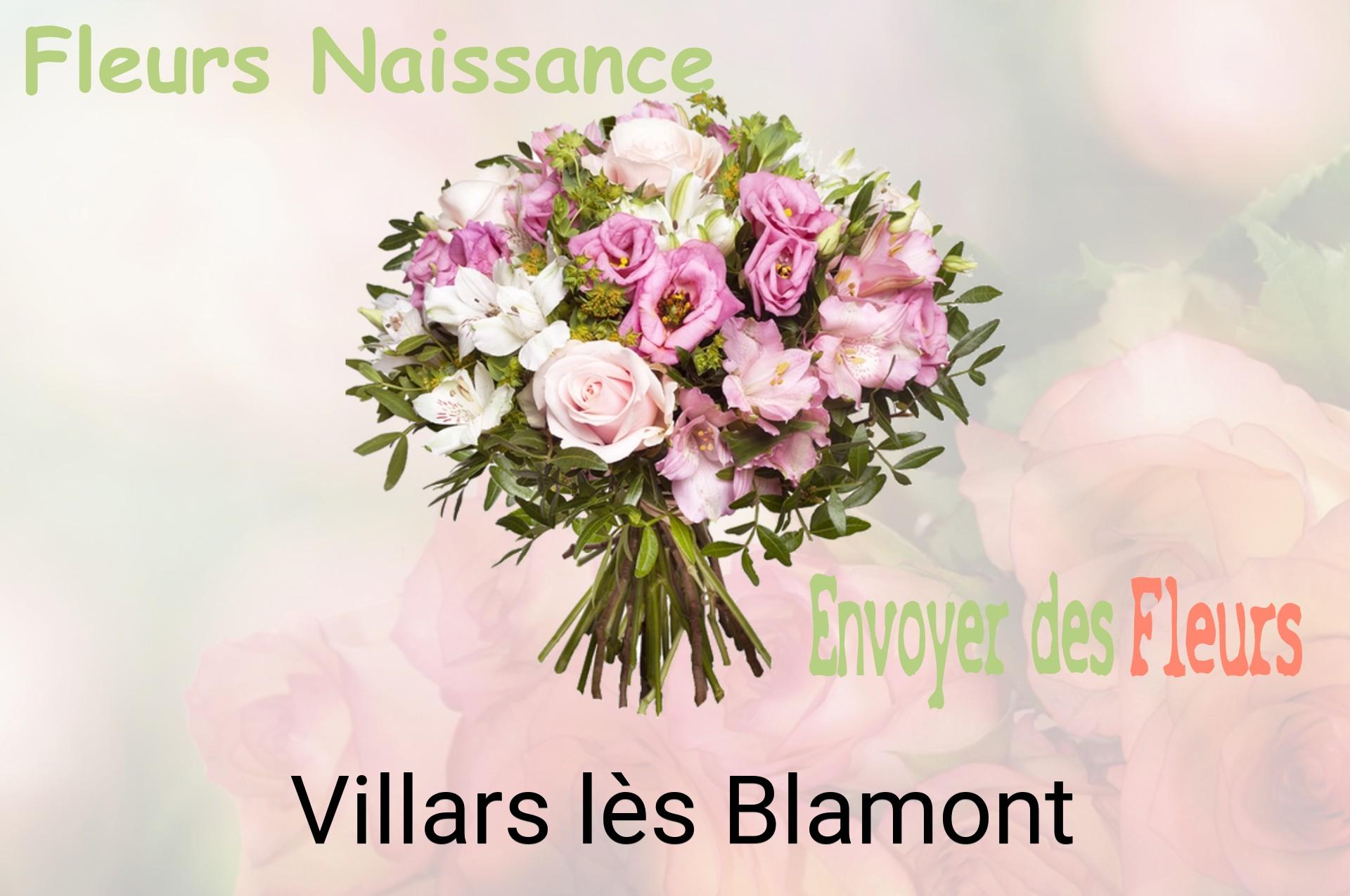Bouquet de fleurs de naissance livré à Villars-lès-Blamont