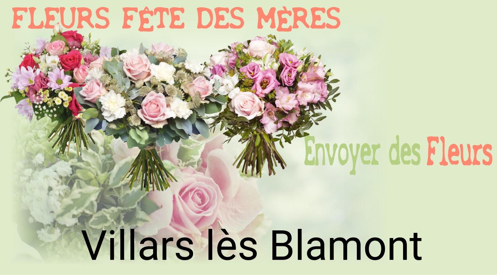 Bouquet de Fête des Mères livré à Villars-lès-Blamont
